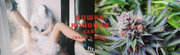 амф Вяземский