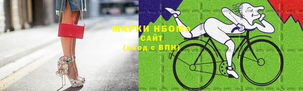 стаф Вязники