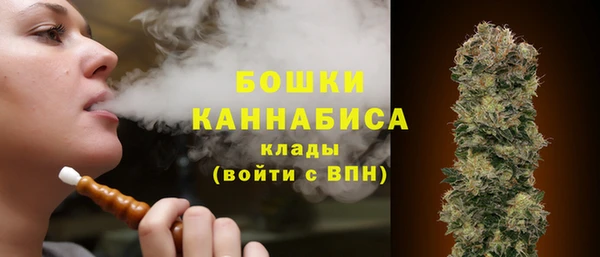 амф Вяземский