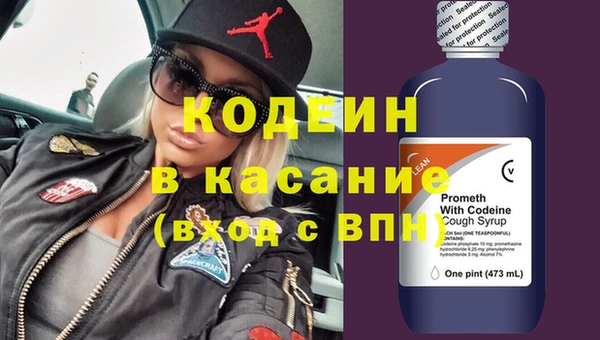 амф Вяземский