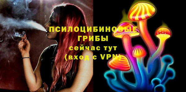 стаф Вязники